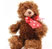 HarVee the Bear