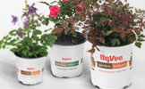 Hy-Vee Home Helpers