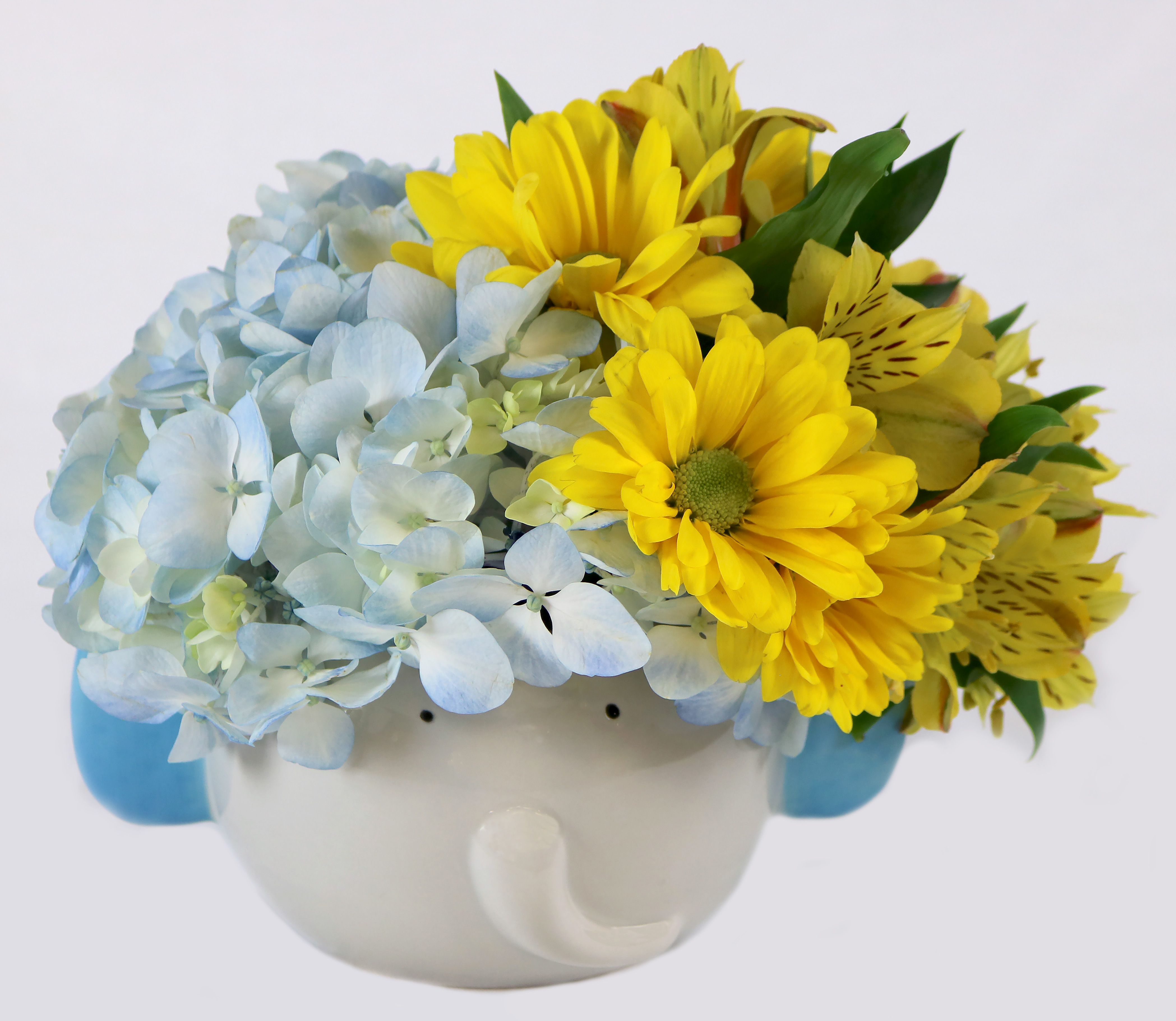 Shop Floral New Baby Eddie