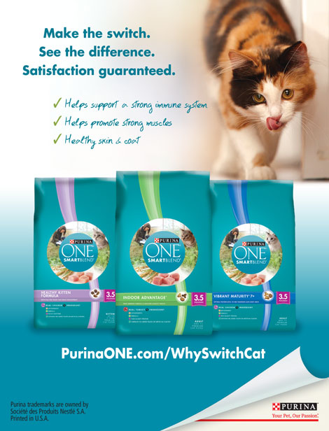 Purina ONE for your cat