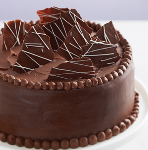 double chocolate cake